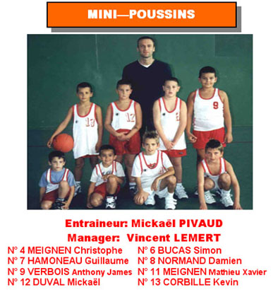 mini-poussins